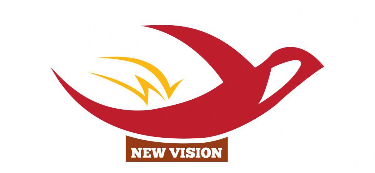 logo new vision