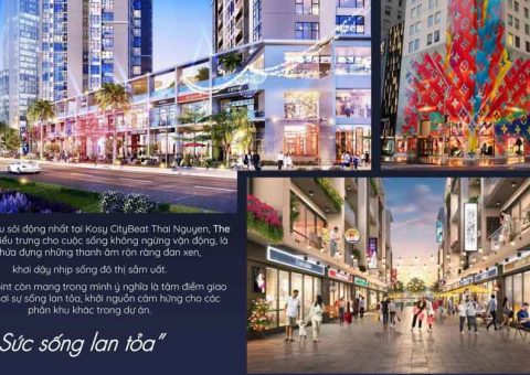 the citypoint gia ban kosy city beat thai nguyen