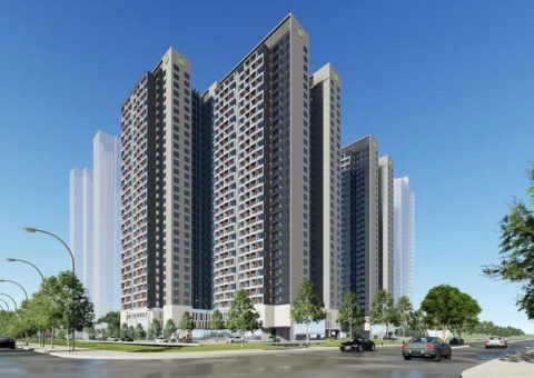 phoi canh co nen mua charm city