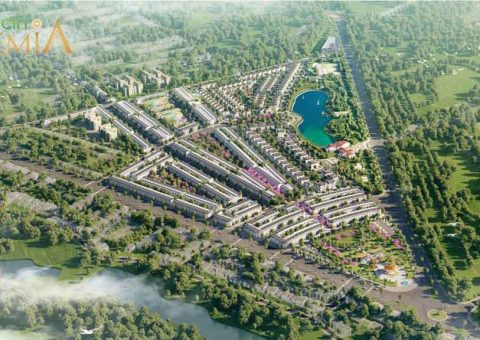 phoi canh co nen mua eco city premia