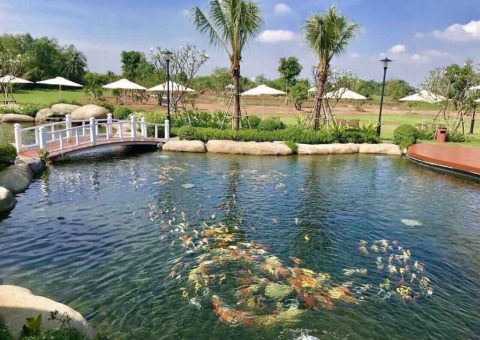 tien do thuc te saigon garden riverside village