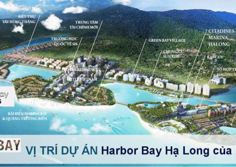 vi tri thuc te harbor bay ha long